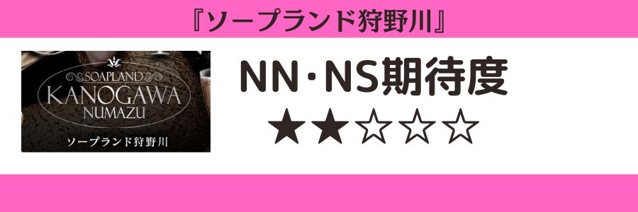 ソープランド狩野川のロゴとNN・NS期待度