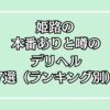 【2025年最新】姫路の本番が出来るデリヘル7選！徹底調査ランキング