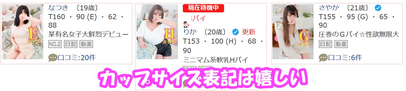 新宿本店 ぽちゃカワ女子専門店在籍嬢と評判
