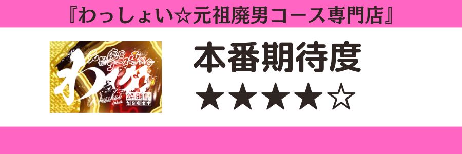 わっしょい☆元祖廃男コース専門店のロゴと本番期待度