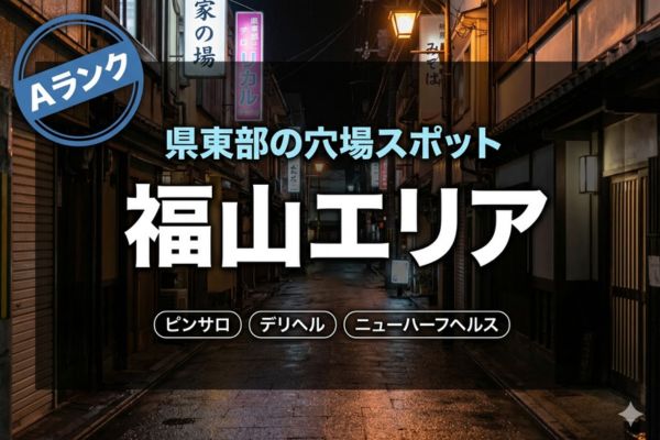 福山エリア（Aランク：県東部の穴場スポット）