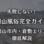 岡山の風俗完全ガイド！岡山市内・倉敷エリアの特徴と失敗しない遊び方