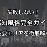 高知の風俗事情を完全解説！出張・観光の夜に失敗しない遊び方とおすすめエリア