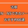 吉原でNN・NSできるおすすめソープ66選