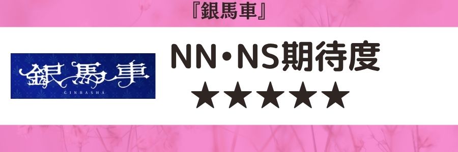 銀馬車のロゴとNN・NS期待度